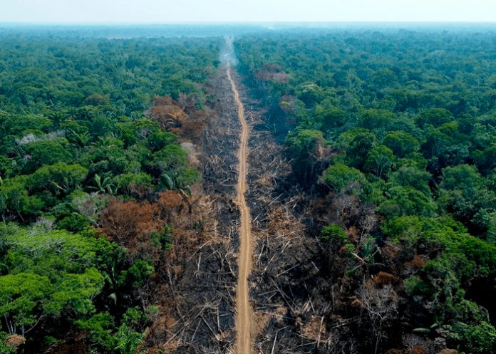 1 Foto: Brasil invierte en la Amazonia /cortesía