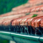 ¿Mito o realidad? Bañarse en la lluvia es «dañino» para la salud Foto: Lluvia, ¡pero con precaución! /cortesía