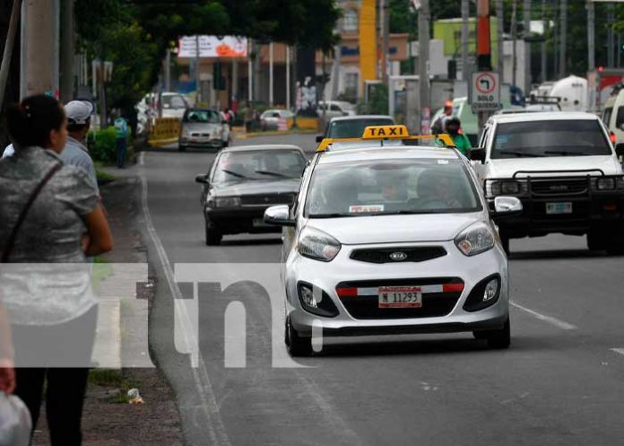 1 Discusión entre un taxista y varios caponeros