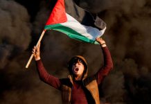 Gaza aumenta a 33,482 palestinos asesinados por Israel Foto: Fuerzas de ocupación en Gaza /cortesía