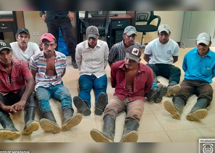 Foto: Ocho capturados por daños al medio ambiente en el parque nacional Saslaya / Cortesía