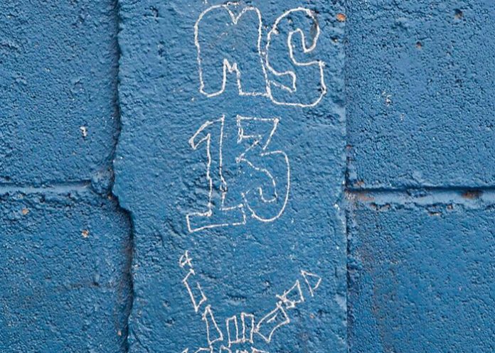 Acusan en Nueva York a un proveedor de armas y drogas a la MS-13 en Honduras