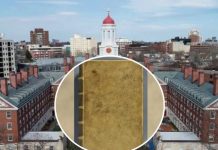 Harvard elimina de su biblioteca libro forrado con piel de una mujer Harvard elimina de su biblioteca libro forrado con piel de una mujer