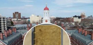 Harvard elimina de su biblioteca libro forrado con piel de una mujer