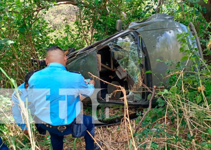 Se precipitó a un guindo en Carretera Sur