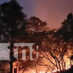 Un crimen atroz contra la naturaleza y la vida llena de dolor al pueblo de Dipilto Foto: Un crimen atroz contra la naturaleza y la vida llena de dolor al pueblo de Dipilto/TN8