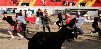 Terribles fracturas le provocó un toro en Costa Rica