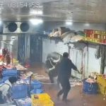 ¡No quería morir! Vaca escapa del matadero y ataca a empleados Vaca escapa del matadero y ataca a empleados