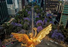 Foto: Calor en México /cortesía