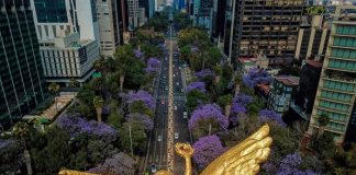 Foto: Calor en México /cortesía