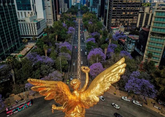 1 Foto: Calor en México /cortesía