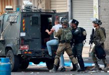 Foto: Palestinos detenidos por Israel en Gaza /cortesía