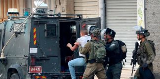 Foto: Palestinos detenidos por Israel en Gaza /cortesía