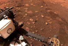 Foto: NASA prepara regreso /cortesía