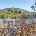 Productores negligentes aparentemente causan incendio devastador en Ometepe Productores negligentes aparentemente causan incendio devastador en Ometepe
