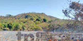 Productores negligentes aparentemente causan incendio devastador en Ometepe