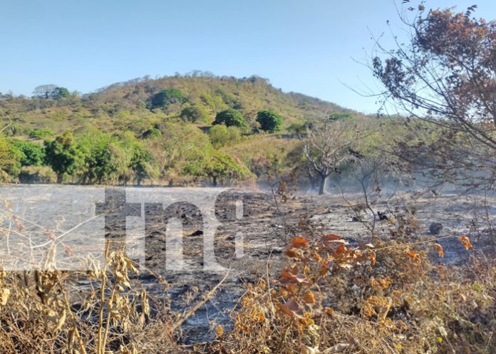 1 Productores negligentes aparentemente causan incendio devastador en Ometepe