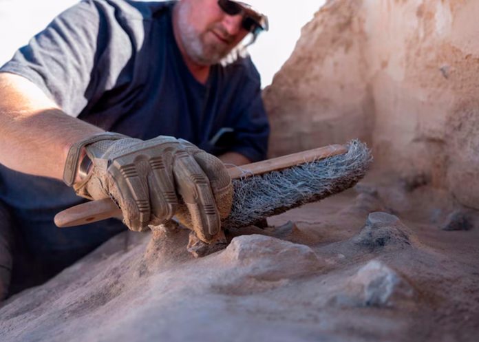 1 Foto: Hallan asentamiento antiguo /cortesía