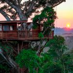 ¿Vivirías aquí? Así es la casa perfecta en el Amazonas Foto: ¿Vivirías aquí? Así es la casa perfecta en el Amazonas / Cortesía