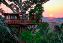 ¿Vivirías aquí? Así es la casa perfecta en el Amazonas Foto: ¿Vivirías aquí? Así es la casa perfecta en el Amazonas / Cortesía
