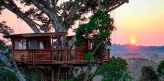 Foto: ¿Vivirías aquí? Así es la casa perfecta en el Amazonas / Cortesía