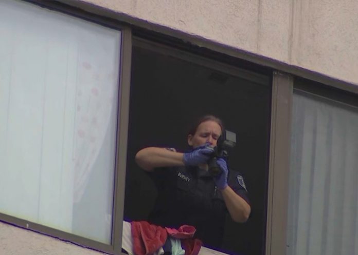 1 Bebé pierde la vida de manera trágica al caer de un hotel en Estados Unidos