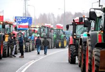 Agricultores polacos bloquean frontera con Ucrania en protesta Foto: Agricultores protestan en Polonia /cortesía