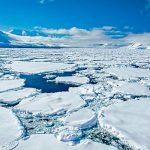 Foto: Científicos de China en investigación /cortesía