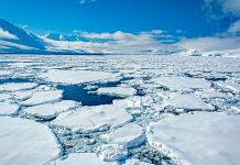 ¡Increíble! Científicos de China descubren 46 lagos bajo hielo en la Antártida Foto: Científicos de China en investigación /cortesía