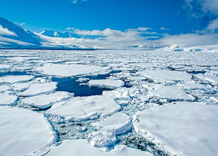 Foto: Científicos de China en investigación /cortesía