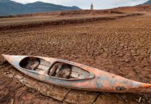 España: Freixenet prevé activación gradual según evolución de la sequía