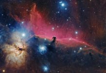 Telescopio Webb capta imágenes impactantes de la «Cabeza de caballo» Telescopio Webb capta imágenes impactantes de la nebulosa