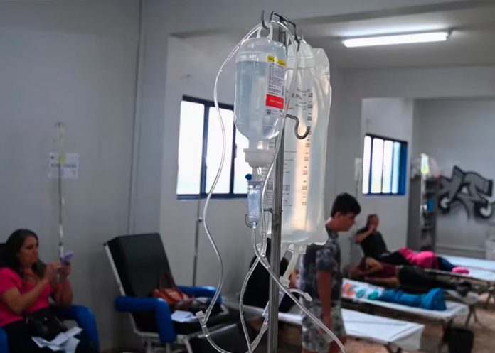 2 Foto: Epidemia de dengue en Brasil /cortesía