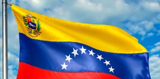 Foto: Venezuela celebra la victoria /cortesía
