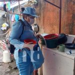 Foto:Brigadistas de salud combaten criaderos de mosquitos en Managua/TN8