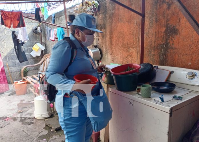 Foto:Brigadistas de salud combaten criaderos de mosquitos en Managua/TN8
