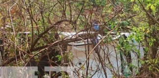 ¡Vivos de milagro! Al caer en un abismo de la Cuesta el Plomo