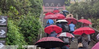 Foto: Adiós Wuhan, te dejo mi admiración y un Me Gusta / TN8