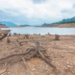Foto: Emergencia hídrica en Colombia /cortesía