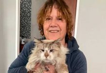 Una veterinaria de 63 años falleció a causa de un infarto luego de un asalto