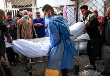 Foto: OMS enuncia ataque en gaza /cortesía