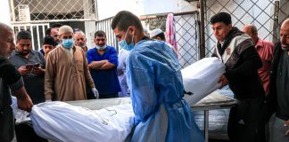 Foto: OMS enuncia ataque en gaza /cortesía