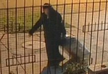 Monja misteriosa es captada transportando un cadáver en Chile