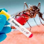 Avanza la lucha contra el Dengue: brigadas trabajan arduamente Foto: Dengue en Argentina /cortesía