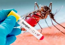 Avanza la lucha contra el Dengue: brigadas trabajan arduamente Foto: Dengue en Argentina /cortesía