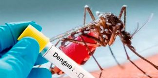 Foto: Dengue en Argentina /cortesía