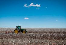 Foto: Campesinos luchan por tierras en Brasil /cortesía