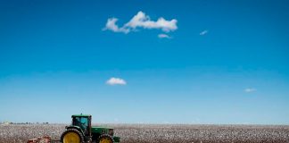 Foto: Campesinos luchan por tierras en Brasil /cortesía