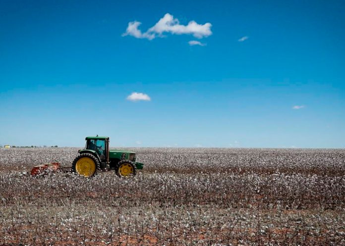 Foto: Campesinos luchan por tierras en Brasil /cortesía