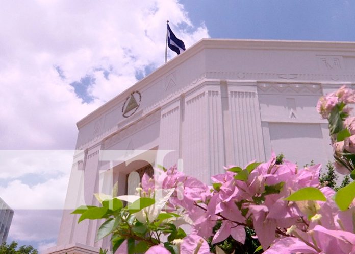 Foto: Asamblea Nacional aprueba reforma /cortesía